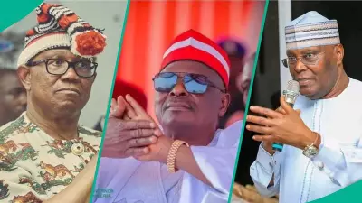 Kwankwaso in Secret Talks for Atiku, Obi Alliance Ahead of 2027 Polls