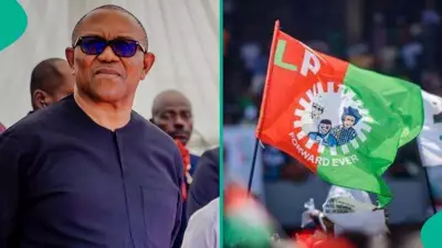 Labour Party's 2027 Struggle: 5 Key Reasons Its Momentum Has Faded