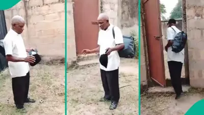 Man Visits Late Wife's Grave to Share Travel Plans, Touches Hearts