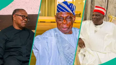 Obasanjo Drives Peter Obi-Kwankwaso Alliance for 2027 Election to Challenge Tinubu