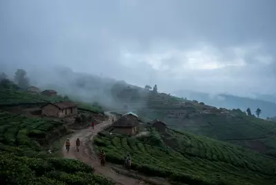 Plateau State is Nigeria's Coldest: Discover the Frosty Facts