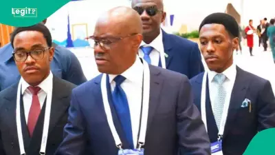 Wike's Son for Governor? Ex-Obidient Director Morris Monye Predicts FCT Minister's 'Long Game'