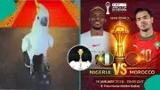 AFCON 2025: Viral Parrot Predicts Winner in Nigeria vs Morocco Semi-Final Clash
