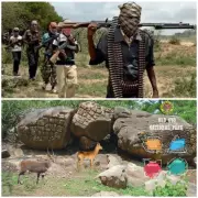 Bandits Attack Oyo National Park, Five Feared Dead in Night Raid