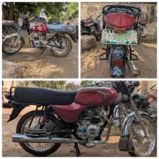 Bauchi Police Nab 5 Armed Robbers Over Attack on Forest Guards