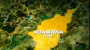 Bomb Blast Injures Six in Adamawa, Linked to Boko Haram Attack