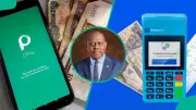 CBN Grants National Operating Licences to Opay, Moniepoint in Major Fintech Expansion