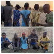 DSS and Forest Guards Rescue 7 Abducted Victims from ISWAP Terrorists in Borno