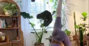 Easy Yoga at Home: 9 Beginner Exercises for Stretching, Strengthening, and Relaxation