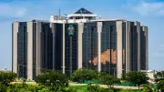 Experts Support CBN's Bank Recapitalisation But Warn Against Past Pitfalls