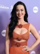 Katy Perry Urges Americans to Block ICE Funding Amid Border Shooting Outrage