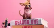 Legally Blonde Prequel 'Elle' Premieres July 2026 on Prime Video