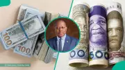 Naira Gains 0.5%, Hits N1,417/$ as Nigeria's External Reserves Climb
