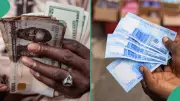 Naira Stability Boosted by 38% Surge in Dollar Inflows from CBN Sales
