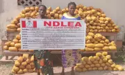 NDLEA Busts Major Drug Rings: 22 Indians Held, 'Mama Kerosine' Nabbed in Nationwide Crackdown