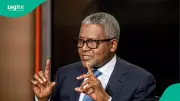 Nigerian Billionaires Start 2026 Strong: Dangote Leads with $43bn Combined Wealth