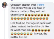 Nigerian Lawyer Reveals Shocking Divorce Case Details: 'Husband No Sabi Wash Plate'