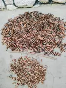 Police Uncover 912 Rounds of Ammunition in Maiduguri Raid