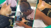 University Student Brings Cat to Lecture in Handbag, Sparks Viral Reactions