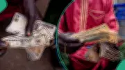 US Dollar Plummets to 4-Year Low as Naira Gains Ground in Global Currency Shift