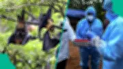 WHO Confirms Nipah Virus Cases in India, Nigeria and Global Health Authorities on High Alert