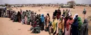 World Bank Approves $12M Performance Loan for Nigerian States Hosting IDPs