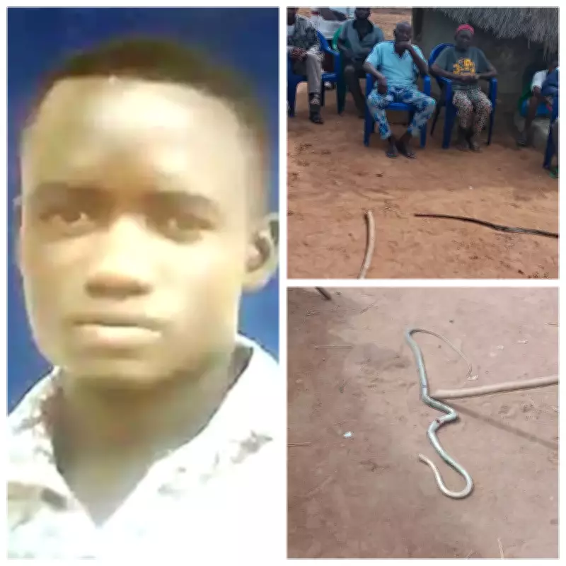 Benue Youths Kill Snake That Fatally Bit Young Man Aondona Ahemba Christopher