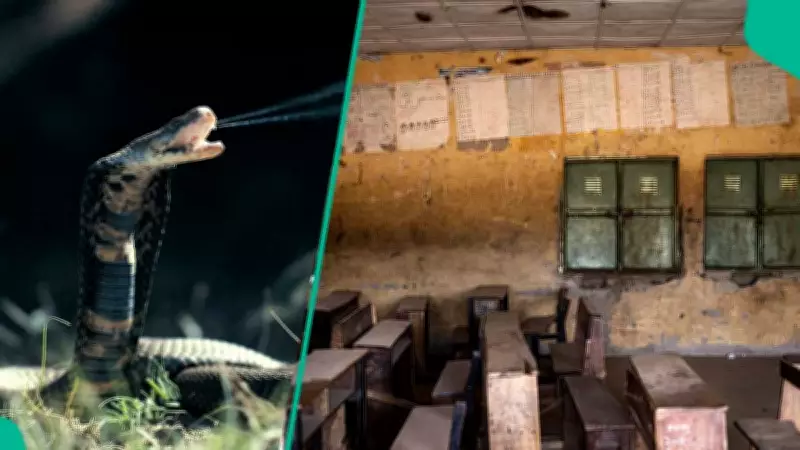 Cobra Attack Claims Abuja School Headmaster's Life, Sparks Infrastructure and Medical Response Concerns
