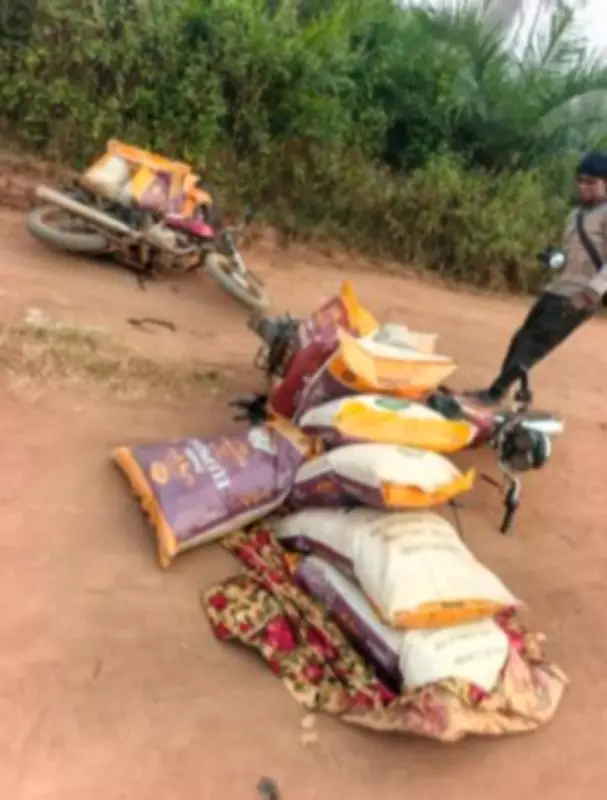 Customs Officers Ambushed in Ogun State: One Dead After Smuggling Confrontation