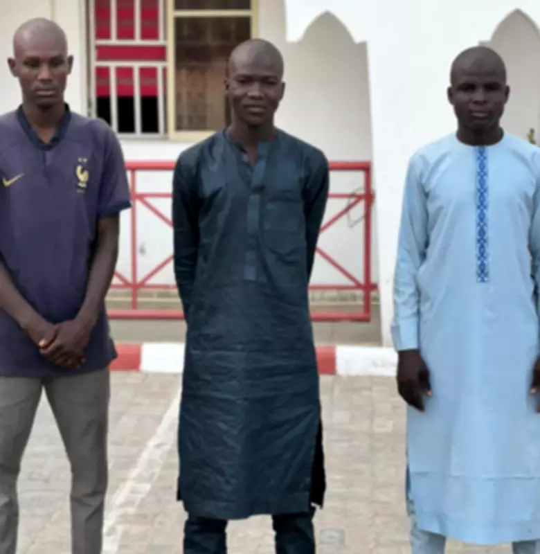 EFCC Arrests Three Men in Maiduguri for Alleged Naira Mutilation