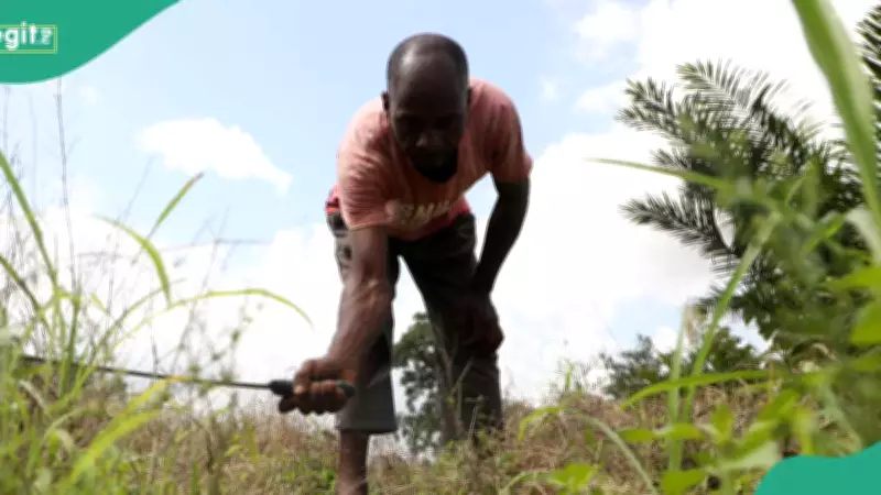 FG Launches Digital Climate Tool to Guide Nigerian Farmers on Weather Practices