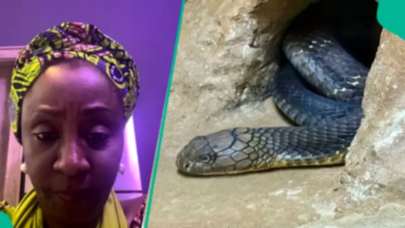 Former Kaduna Governor's Wife Shares Cobra Home Invasion Video, Sparks Snake Safety Debate