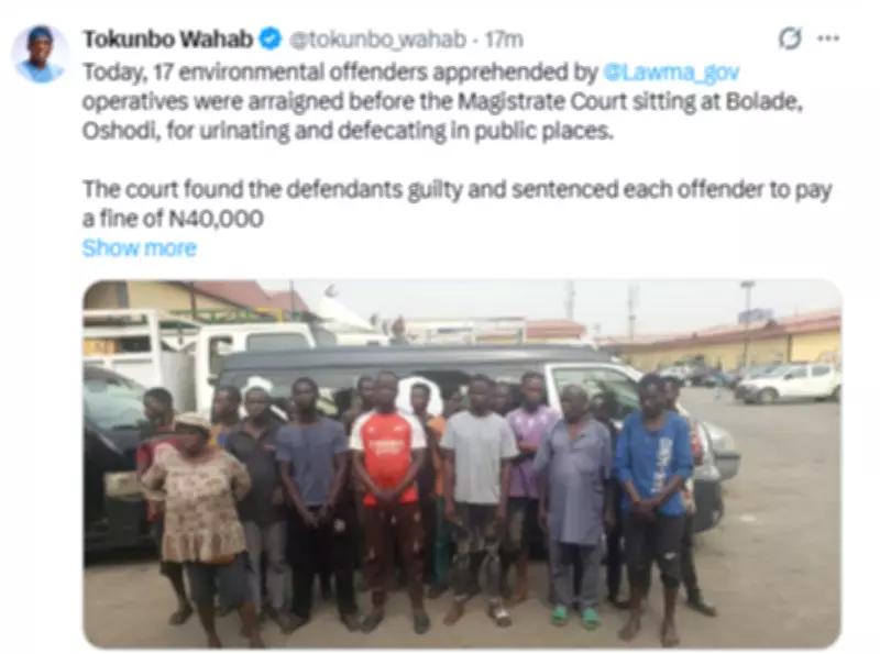 Lagos Court Fines 17 Environmental Offenders for Public Urination and Defecation