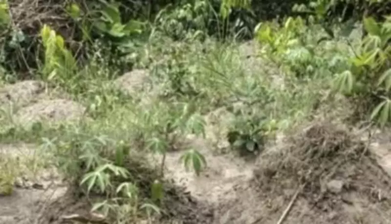 Man Arrested for Allegedly Murdering Wife in Rivers State Farm Altercation