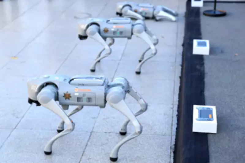 Mexico Deploys Robot Dogs for World Cup 2026 Security in Guadalupe