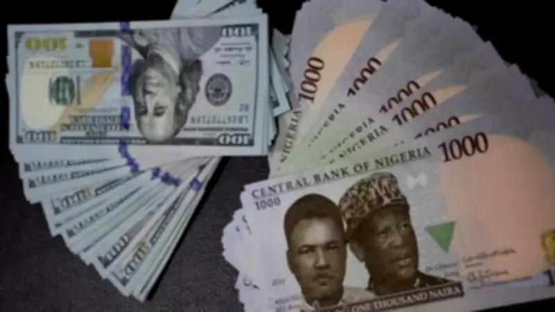 Naira Maintains Stability Against Dollar in Early February 2026 Trading