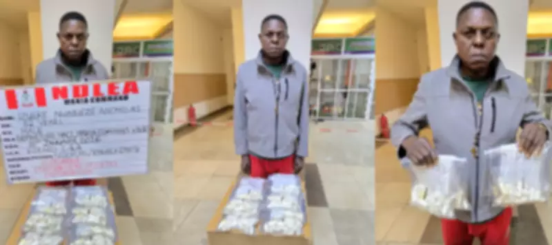 NDLEA Arrests Cocaine Dealer at Kano Airport, Intercepts Meth in Yogurt and Speakers