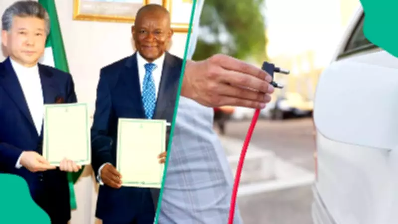 Nigeria and South Korea Forge EV Manufacturing Partnership to Boost Green Economy