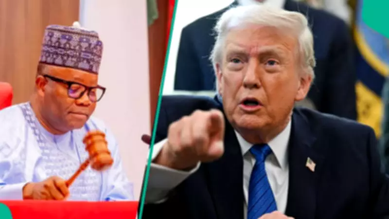 Nigerian Activist Petitions Trump Over 2027 Election Fears, Warns of 'Political Genocide'