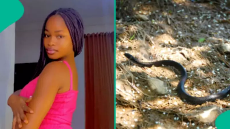 Nigerian Lady Recounts Surviving Snakebite with Traditional Herbal Treatment