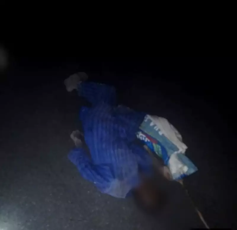 Nigerian Troops Repel Insurgents, Neutralize Suspected Informant in Borno