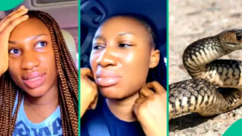 Nigerian Woman Discovers Snake Infestation, Shares Warning Signs for Homeowners