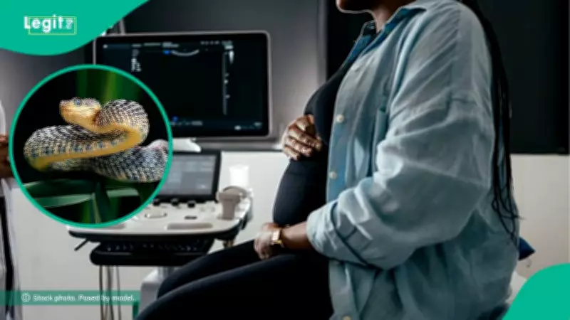 Nigerian Woman Survives Two Snake Bites, One During Pregnancy in 2013