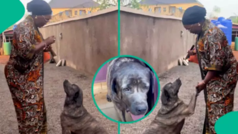 Nigerian Woman's Viral Video: Giving Her Dog Security Briefing Before Church