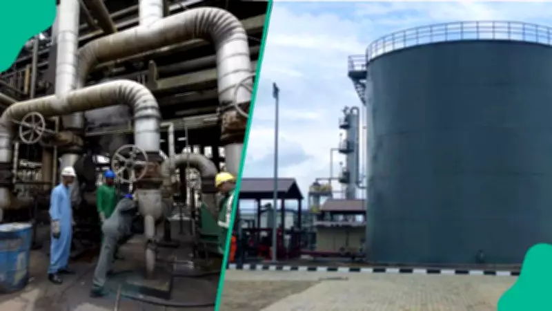 Nigeria's Modular Refineries Supply Only 2.37% of Diesel Demand Amid Dominance of Dangote and Imports