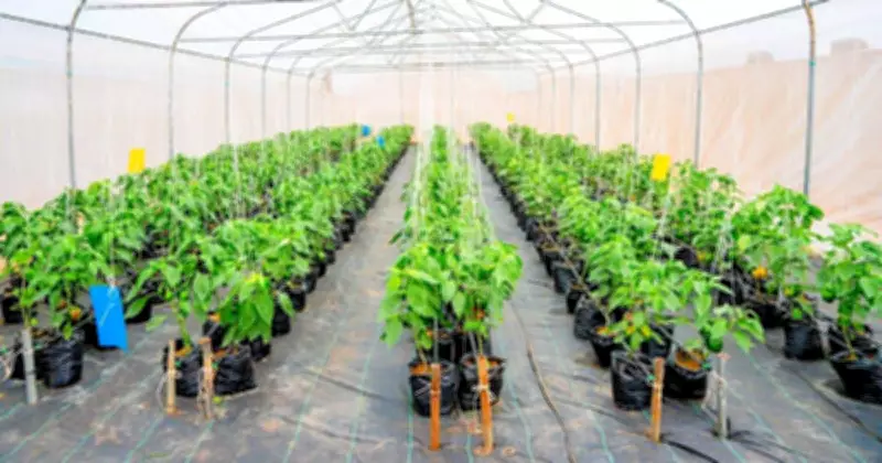 Ogun State Transforms Agriculture: From ₦7,000 Stipends to ₦10 Million Youth Grants