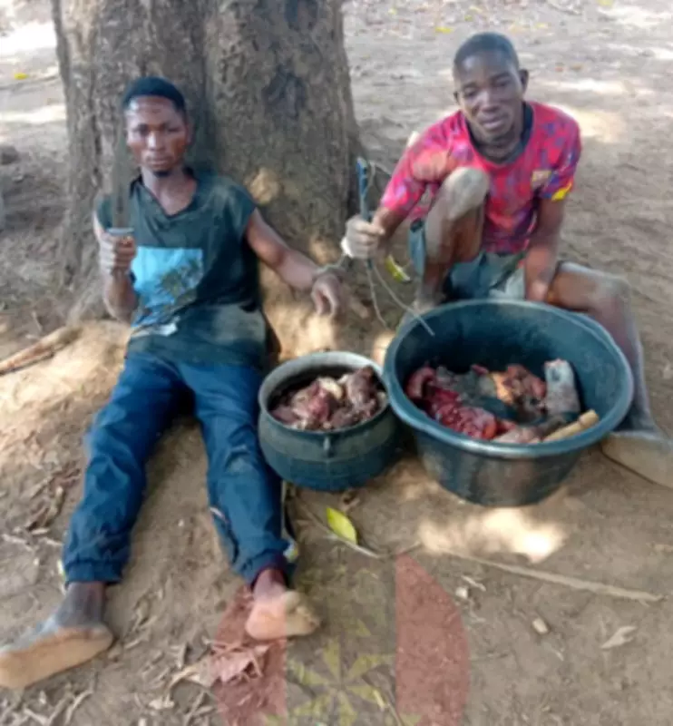 OPWS Troops Neutralize Bandit, Arrest Cattle Rustlers in Benue Operations