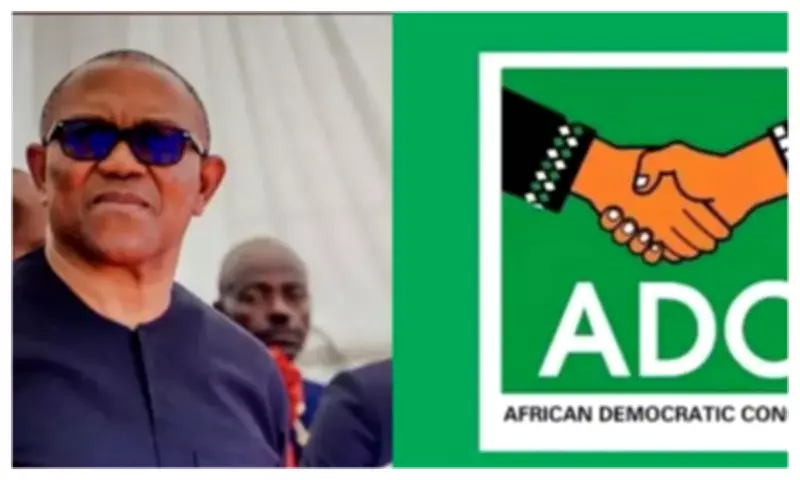 Peter Obi Declares 2027 Presidential Bid on ADC Platform, Vows to Protect Votes