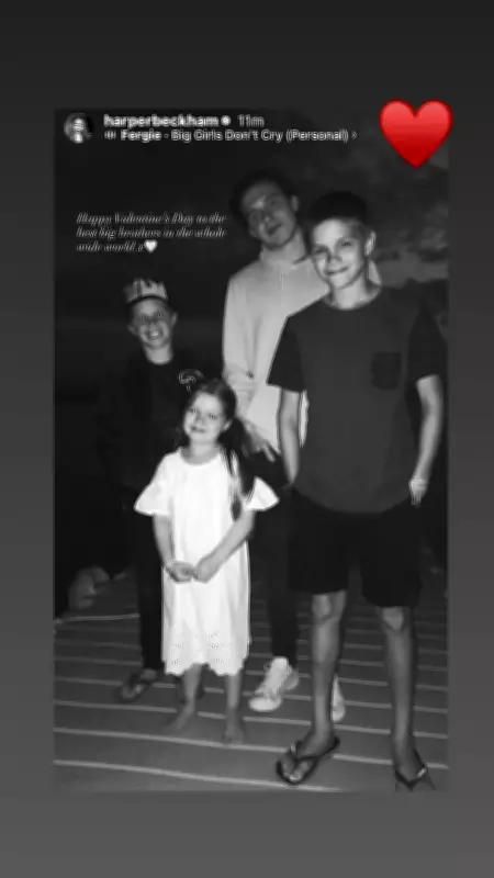 Romeo Beckham 'Likes' Post Calling Nicola Peltz 'The Problem' in Family Feud