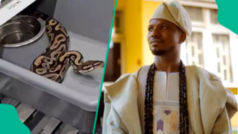 Snake Expert Arojinle Shares Non-Lethal Method Using Rat Glue Boards for Indoor Capture